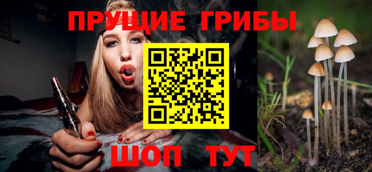 Псилоцибиновые грибы Psilocybine cubensis  Вход с VPN  Псилоцибиновые грибы Psilocybine cubensis  купить   Абакан 